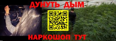 крисы Ставрополь