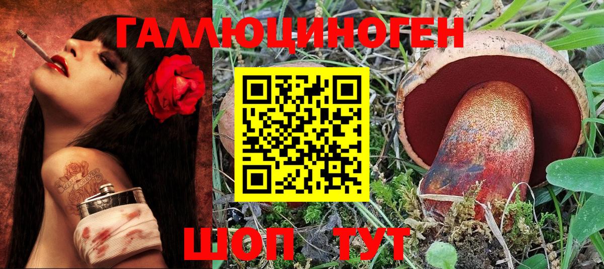 Галлюциногенные грибы MAGIC MUSHROOMS Новороссийск