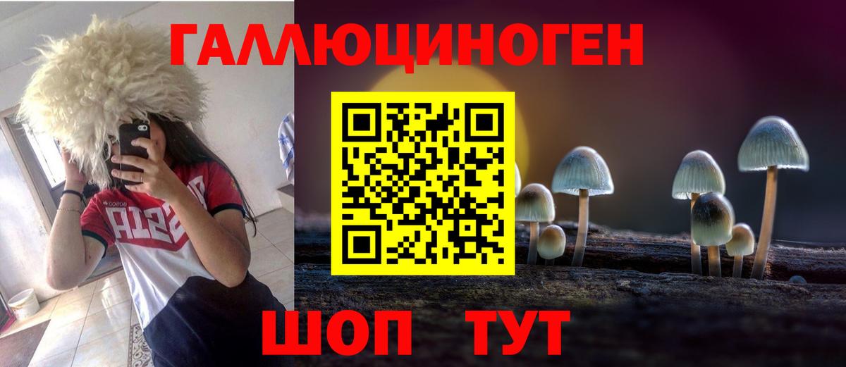 Галлюциногенные грибы MAGIC MUSHROOMS  Галлюциногенные грибы Psilocybe  Вход с VPN  Новороссийск 